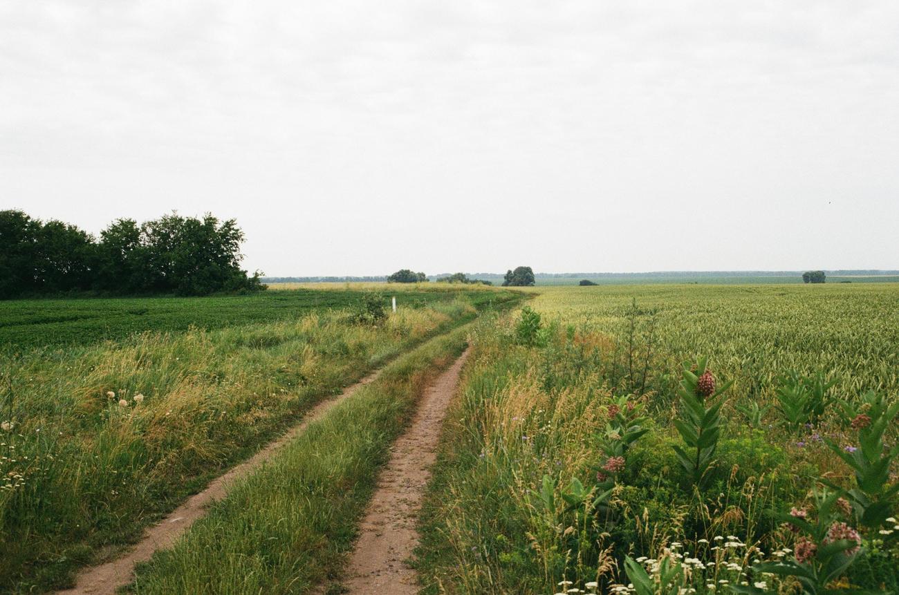 cotton industry impact on local communities