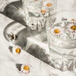 daisy-flower_featured