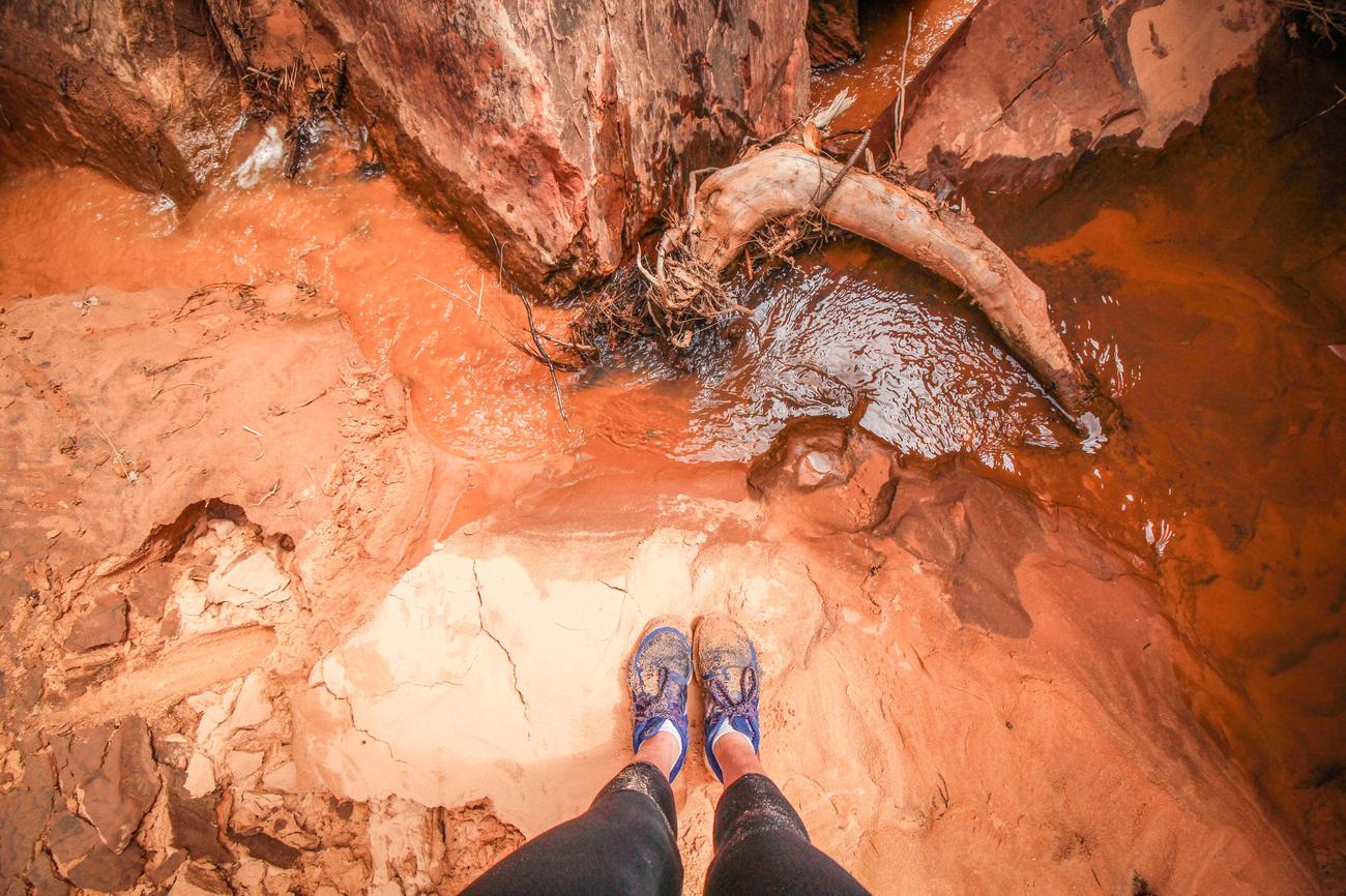 disgusting facts about feet