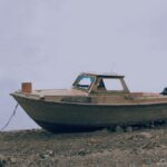 eerie-animal-encounters_featured