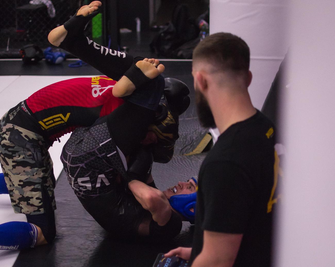 evolving strategies in wrestling