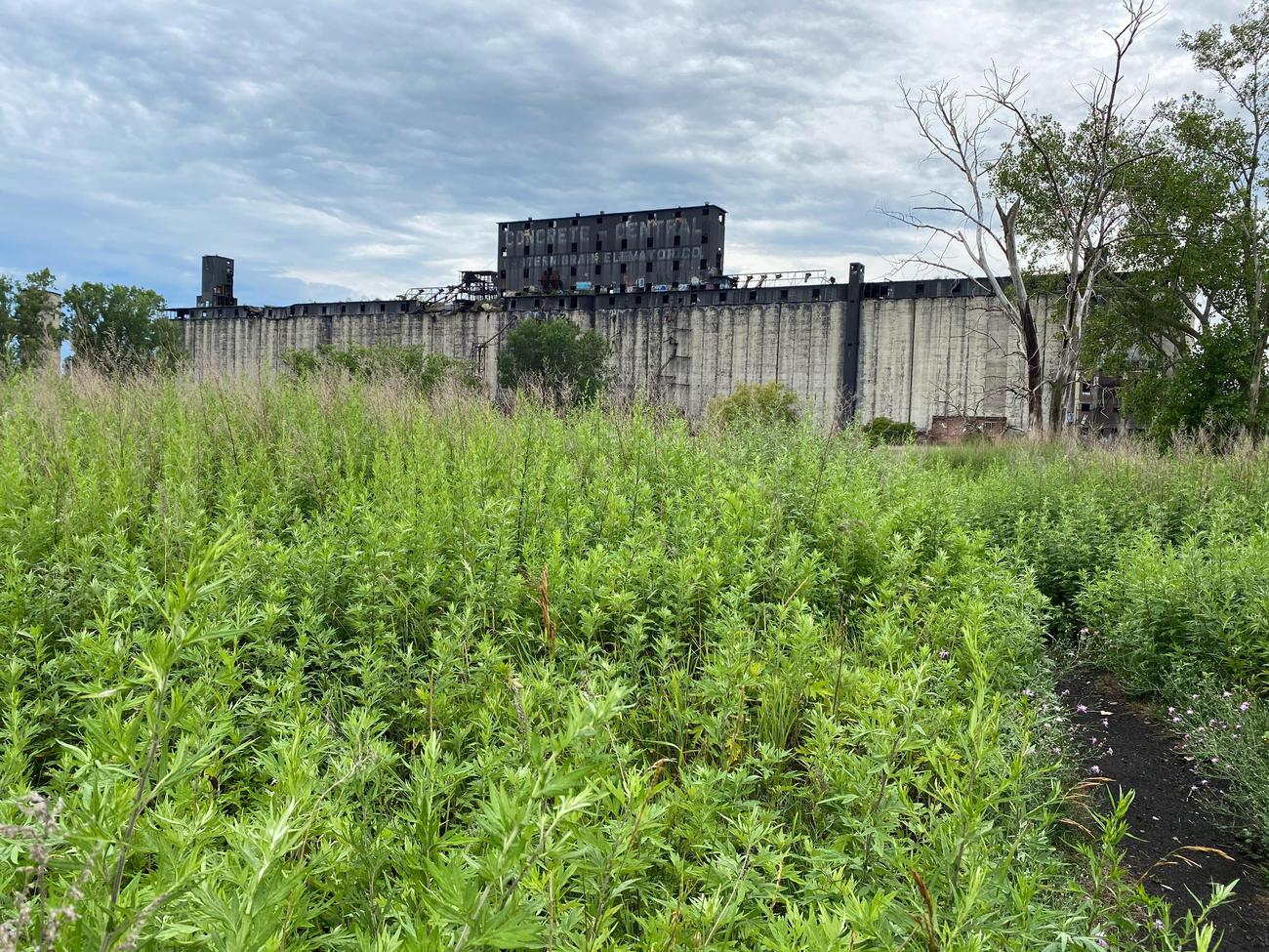 facts about grain elevators