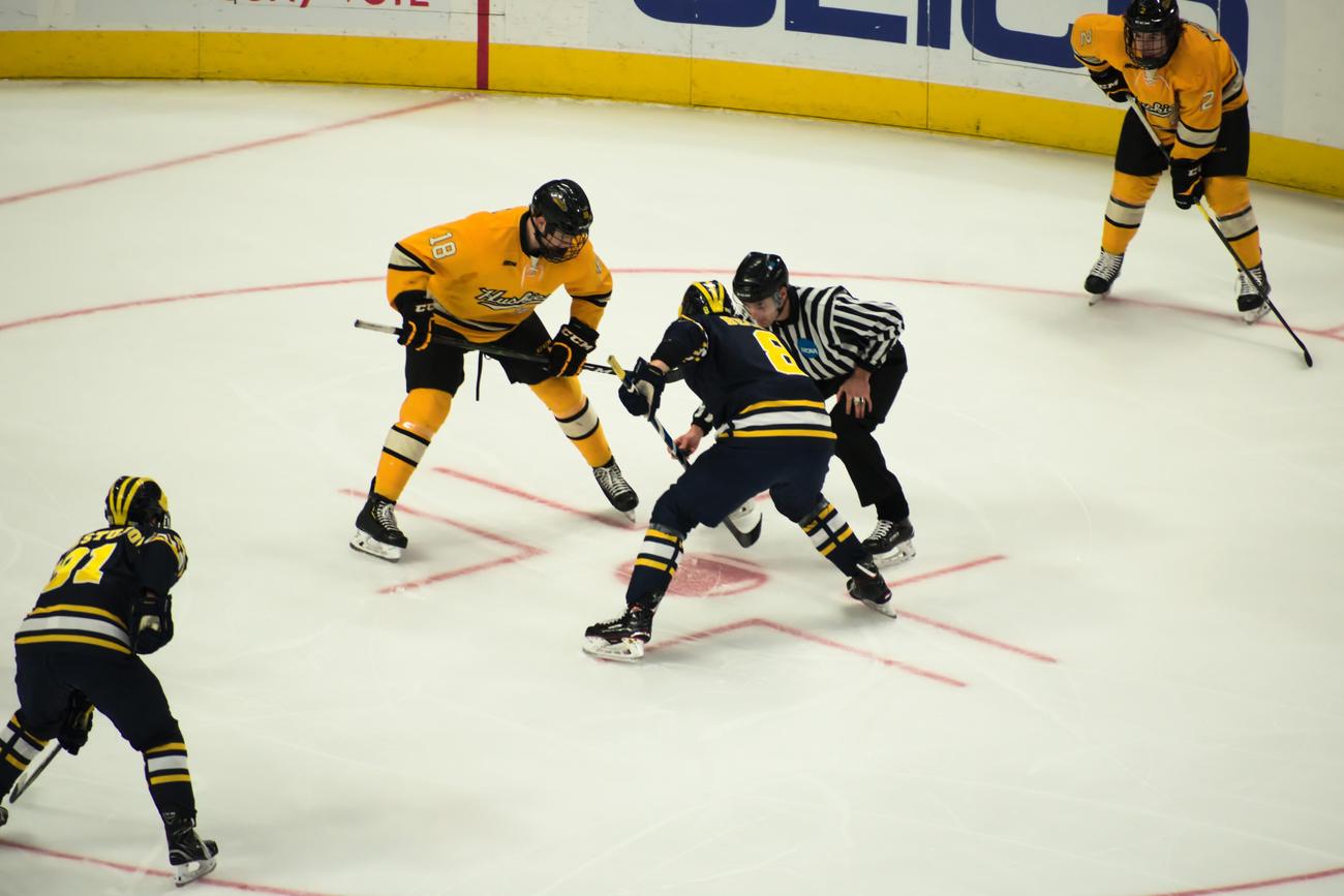 facts about hockey players