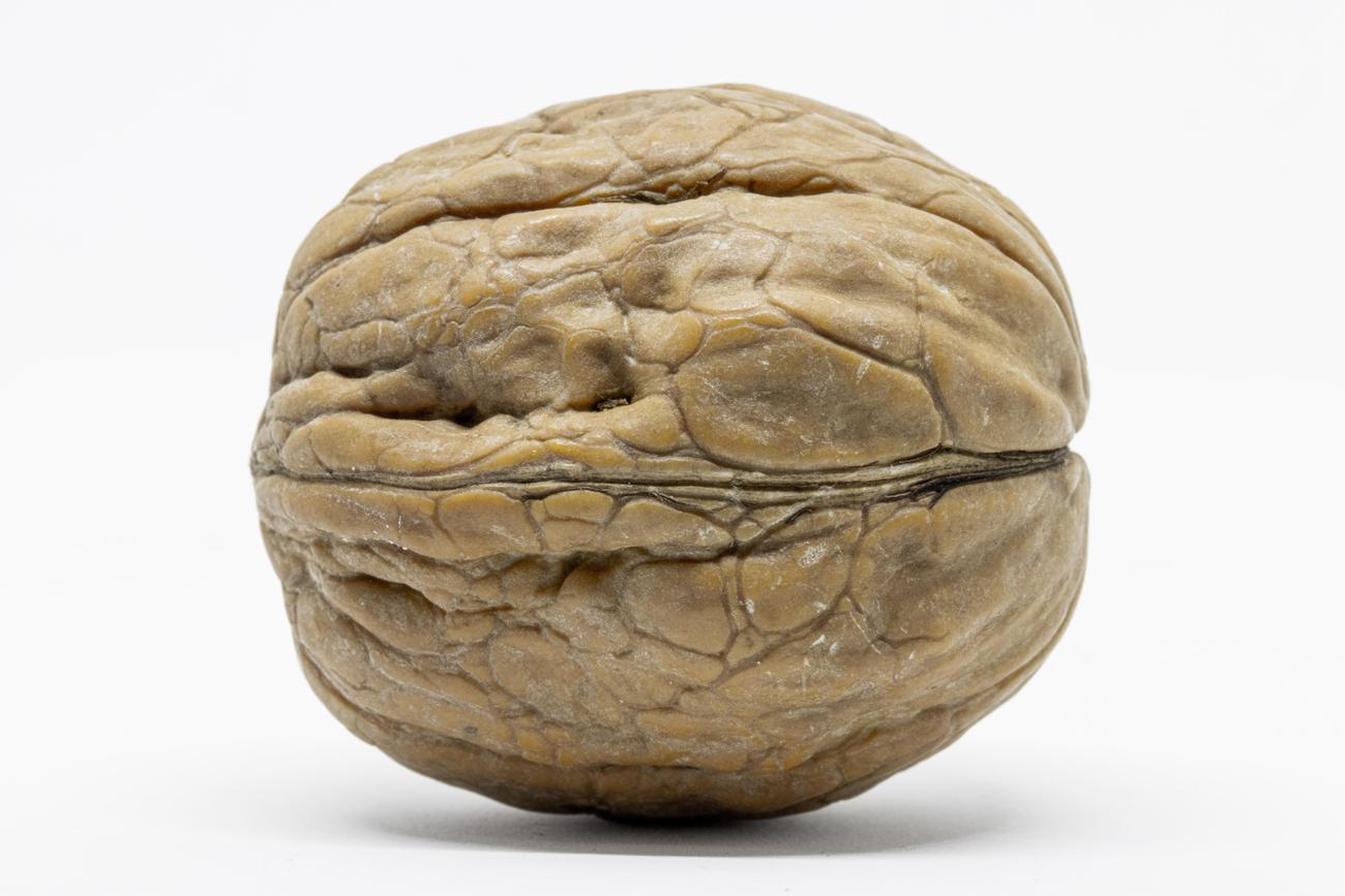 facts about nuts