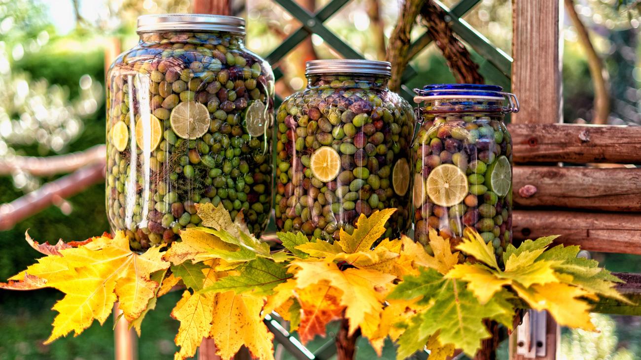 facts about olives
