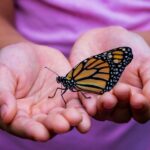 facts-about-our-hands_featured