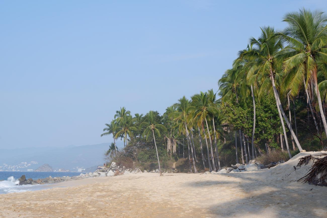 facts about puerto vallarta
