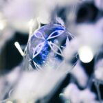 facts-about-sapphire-birthstone_featured
