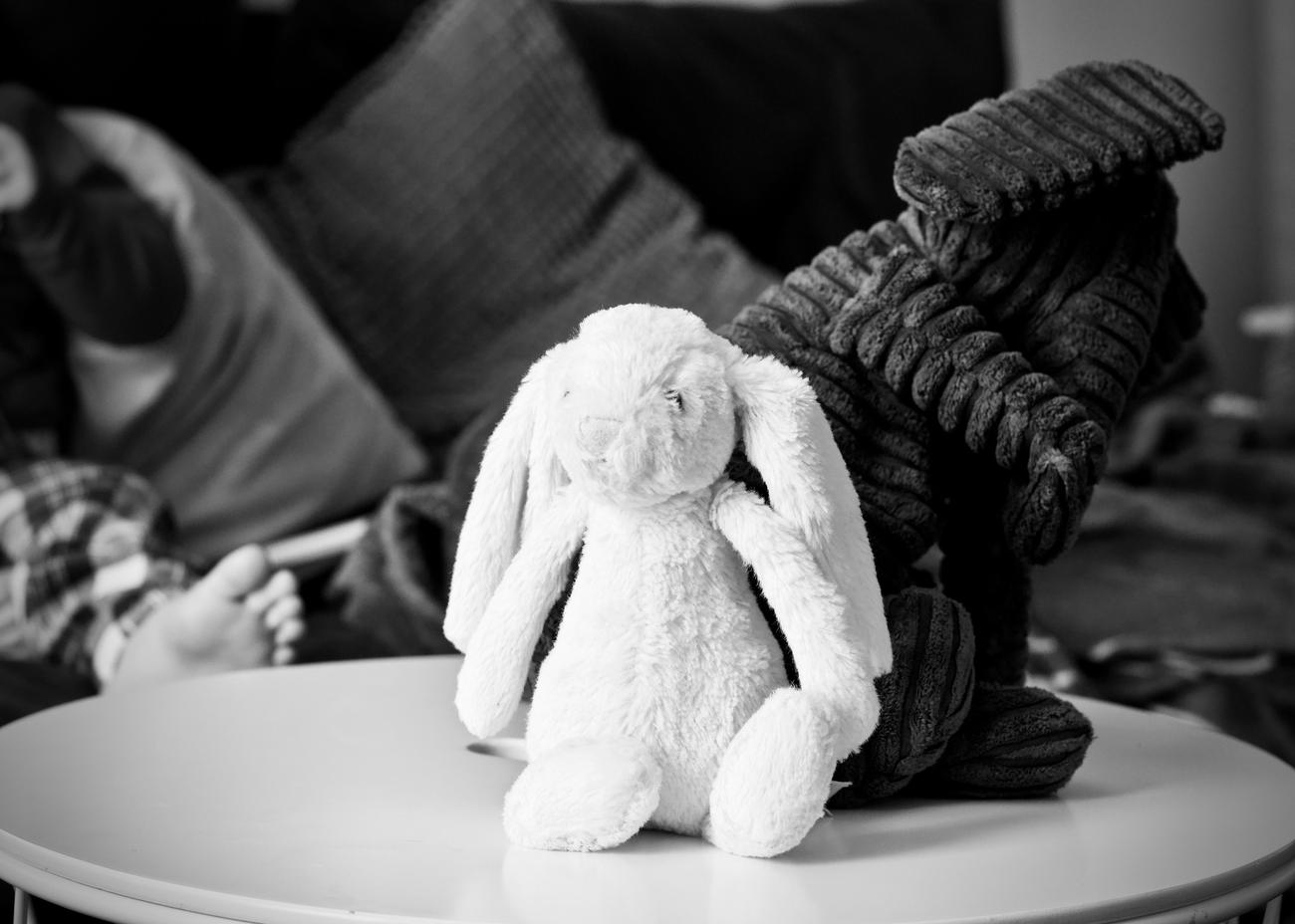 facts about stuffed animals
