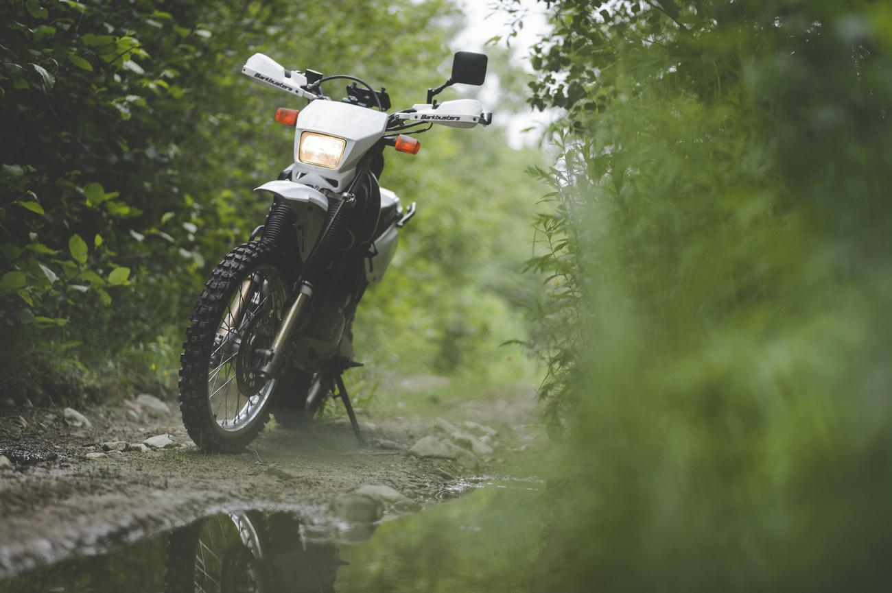 fascinating details about suzuki motorcycles