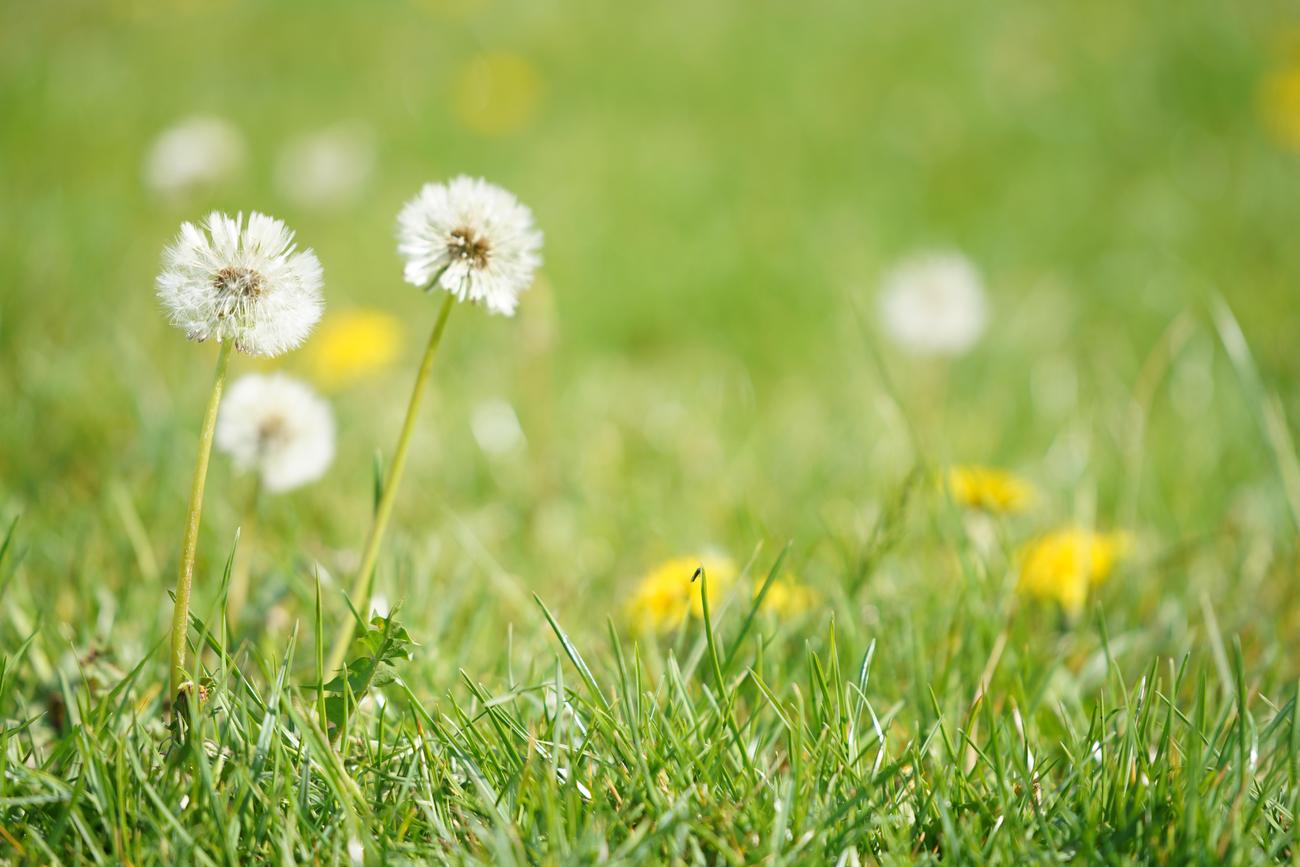 fun facts about april 2