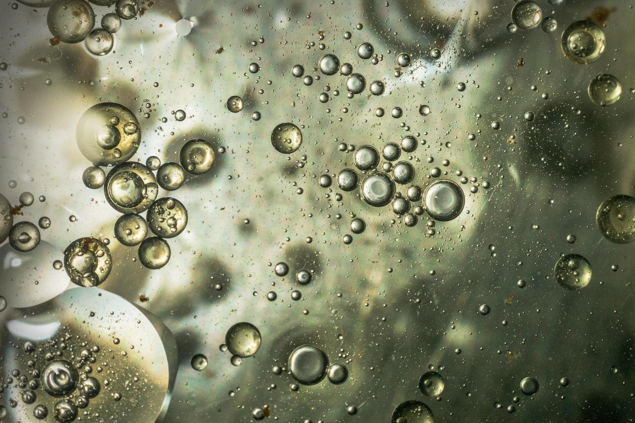 fun facts about bubble wrap