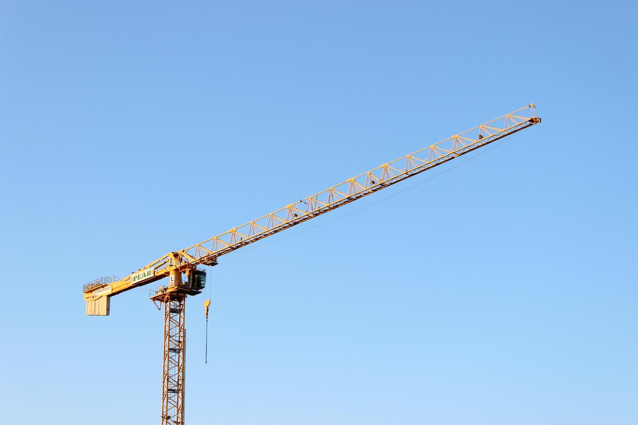 fun facts about cranes