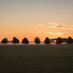 fun-facts-about-field-hockey_featured