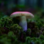 fun-facts-about-foot-fungus_featured