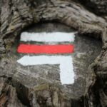 fun-facts-about-hiking_featured