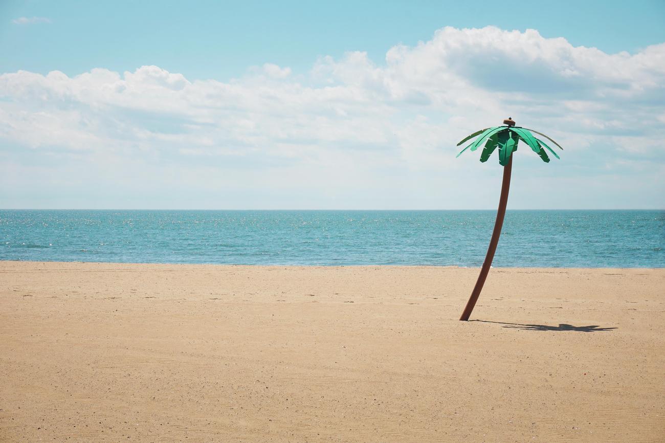fun facts about puerto vallarta