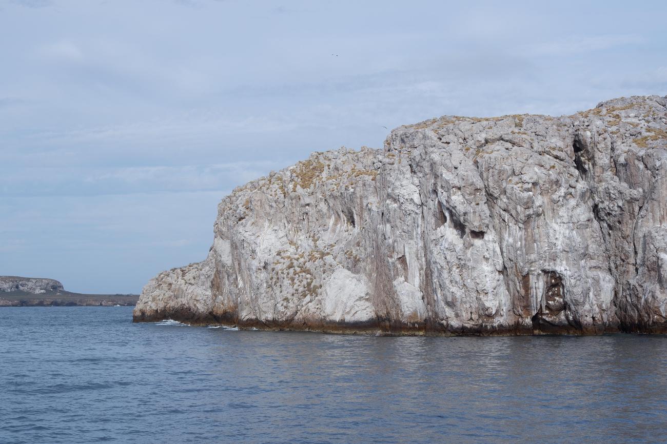 fun facts about puerto vallarta