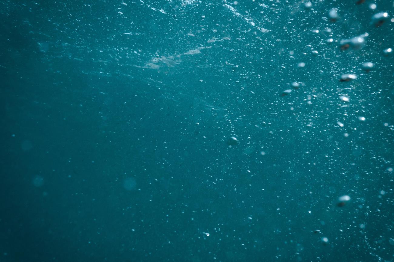 fun facts about scuba diving