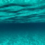 fun-facts-about-scuba-diving_featured