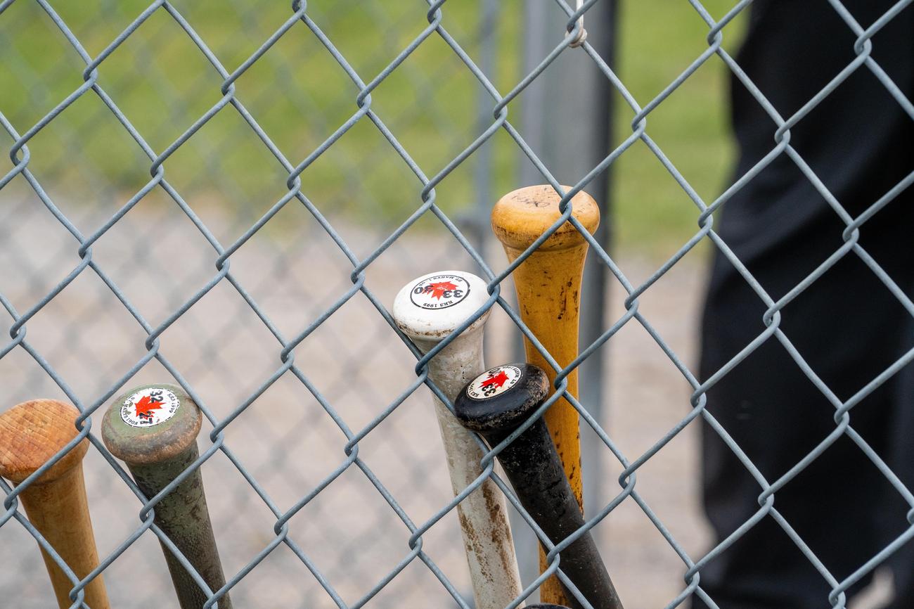 fun facts about softball bats