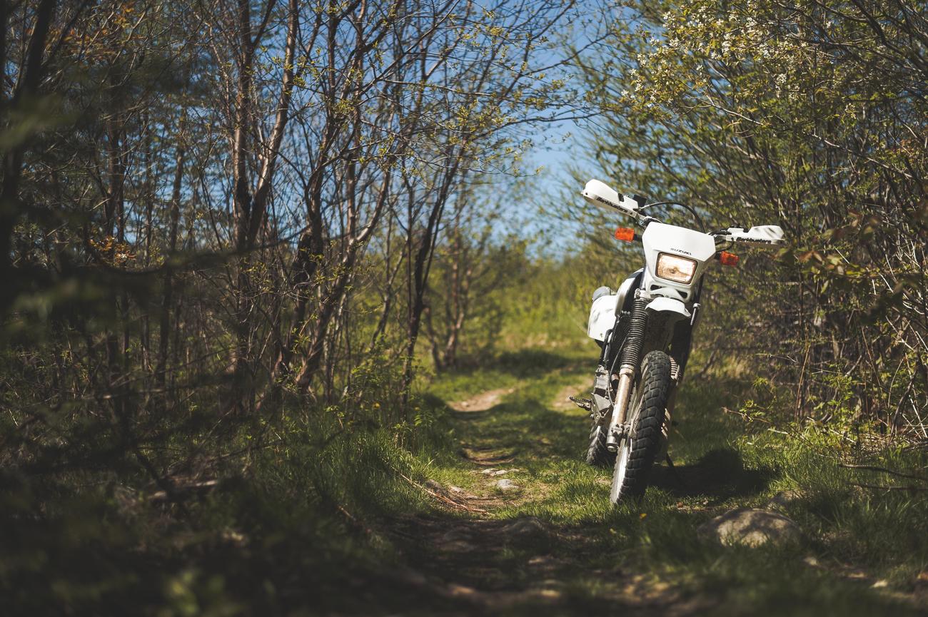 fun facts about suzuki motorcycles