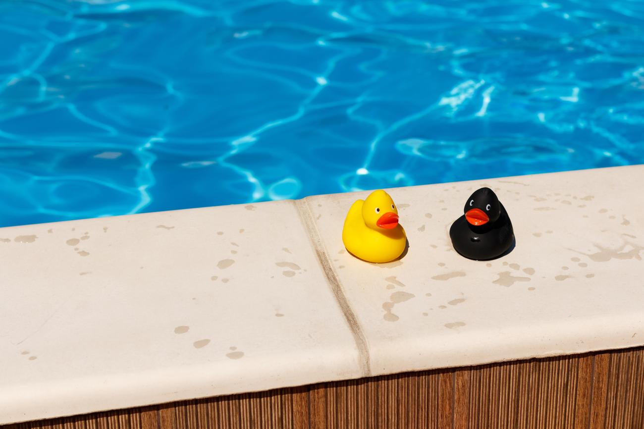 funny facts about swimming