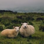 how-long-does-it-take-for-mold-to-grow_featured
