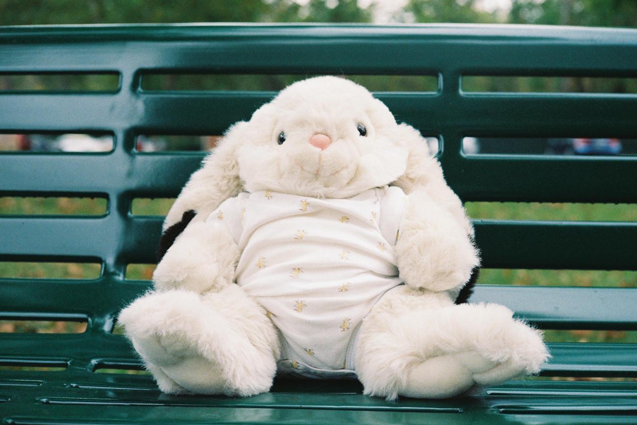 how to disinfect stuffed animals