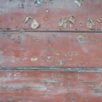 how-to-keep-centipedes-out-of-your-bed_featured