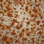 how-to-remove-mold_featured