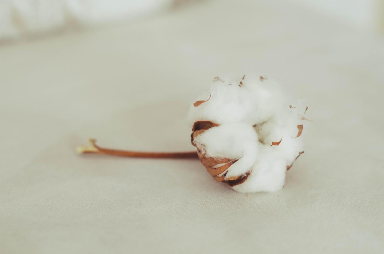 impact of the cotton gin on textile production