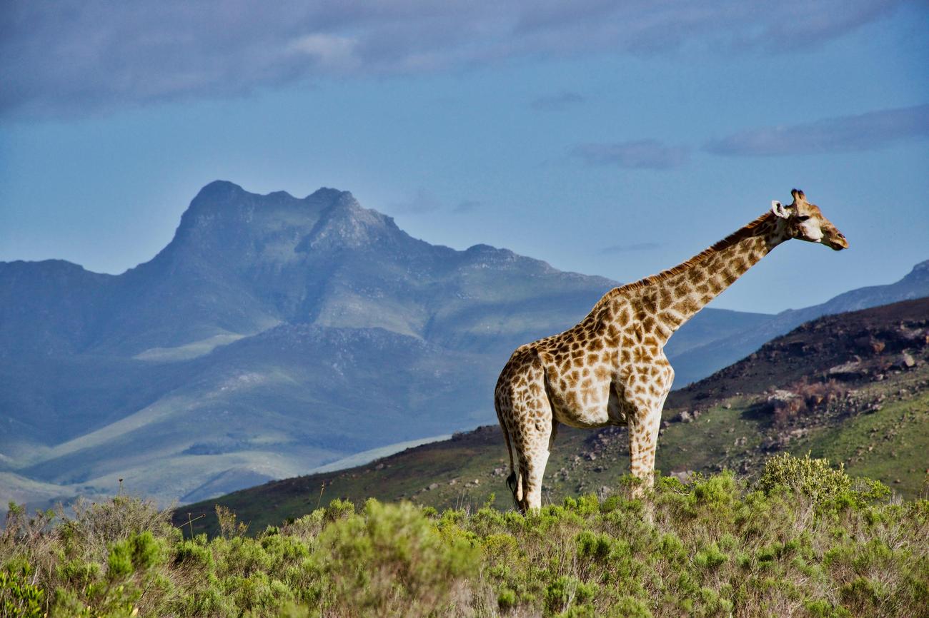 interesting facts about botswana
