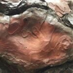 interesting-facts-about-gemstones_featured