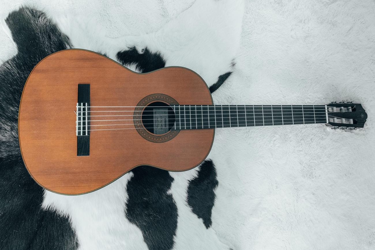 interesting facts about guitars