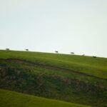 interesting-facts-about-kyrgyzstan_featured