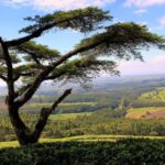 interesting-facts-about-malawi-africa_featured