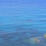 interesting-facts-about-malta_featured
