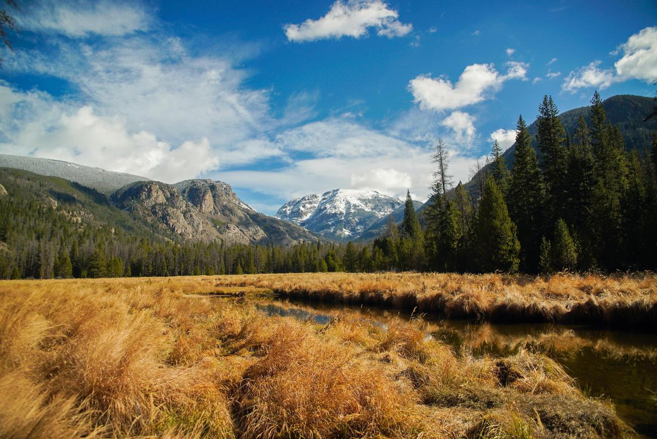 interesting facts about the chaparral biome