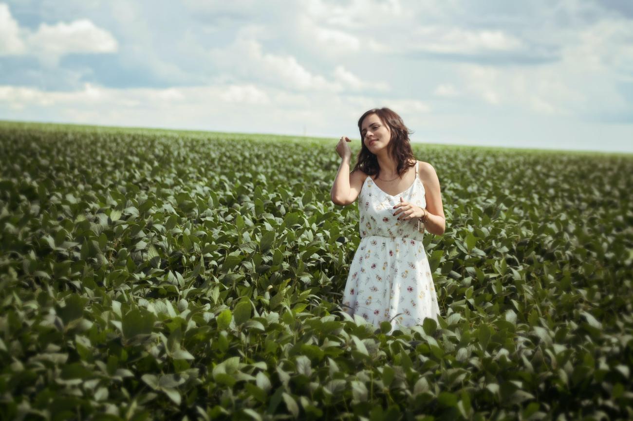 intriguing details on cotton cultivation