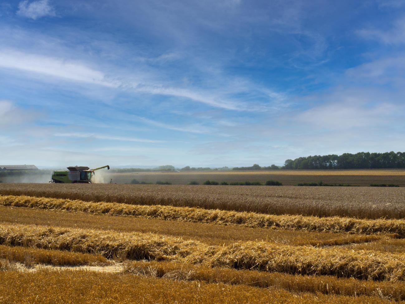 lesser known aspects of grain elevators