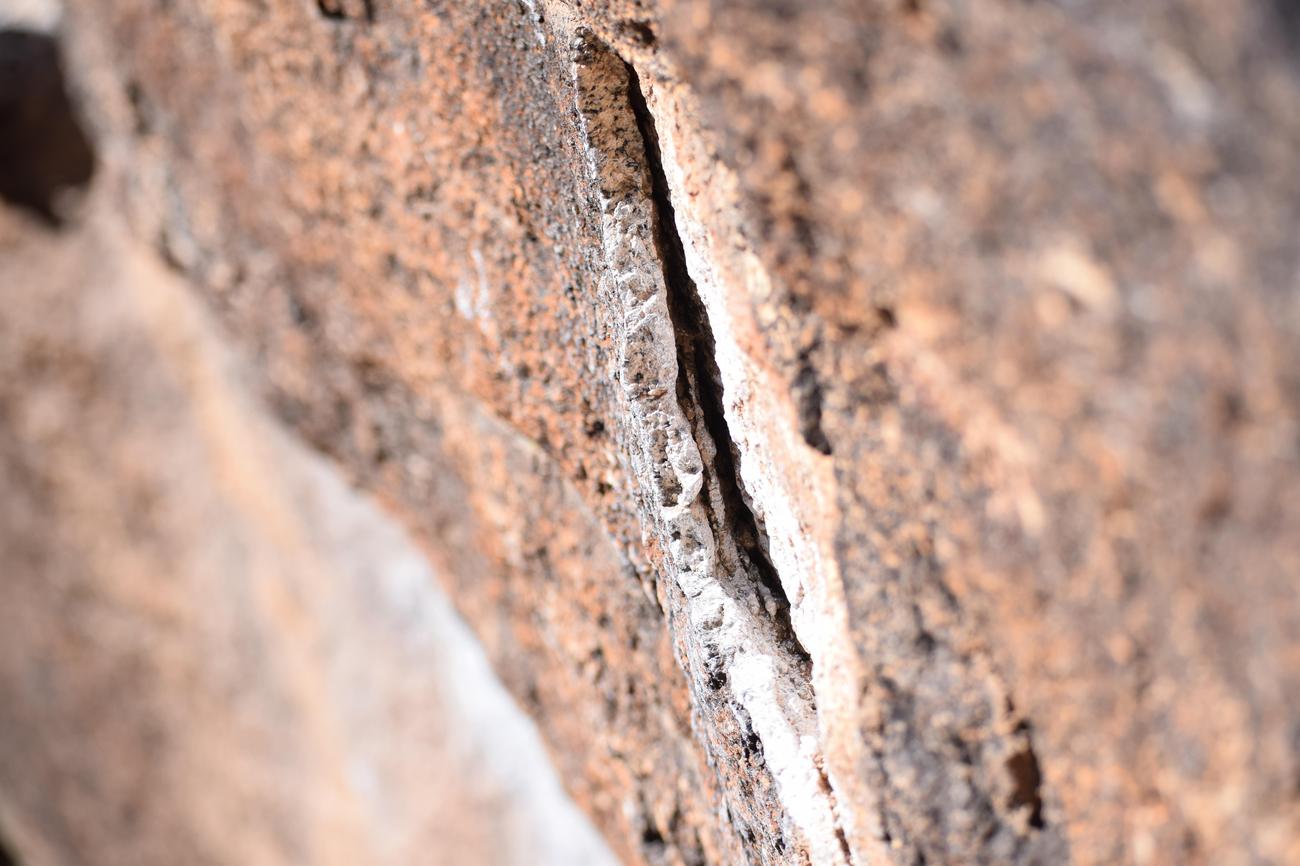 number of termites worldwide