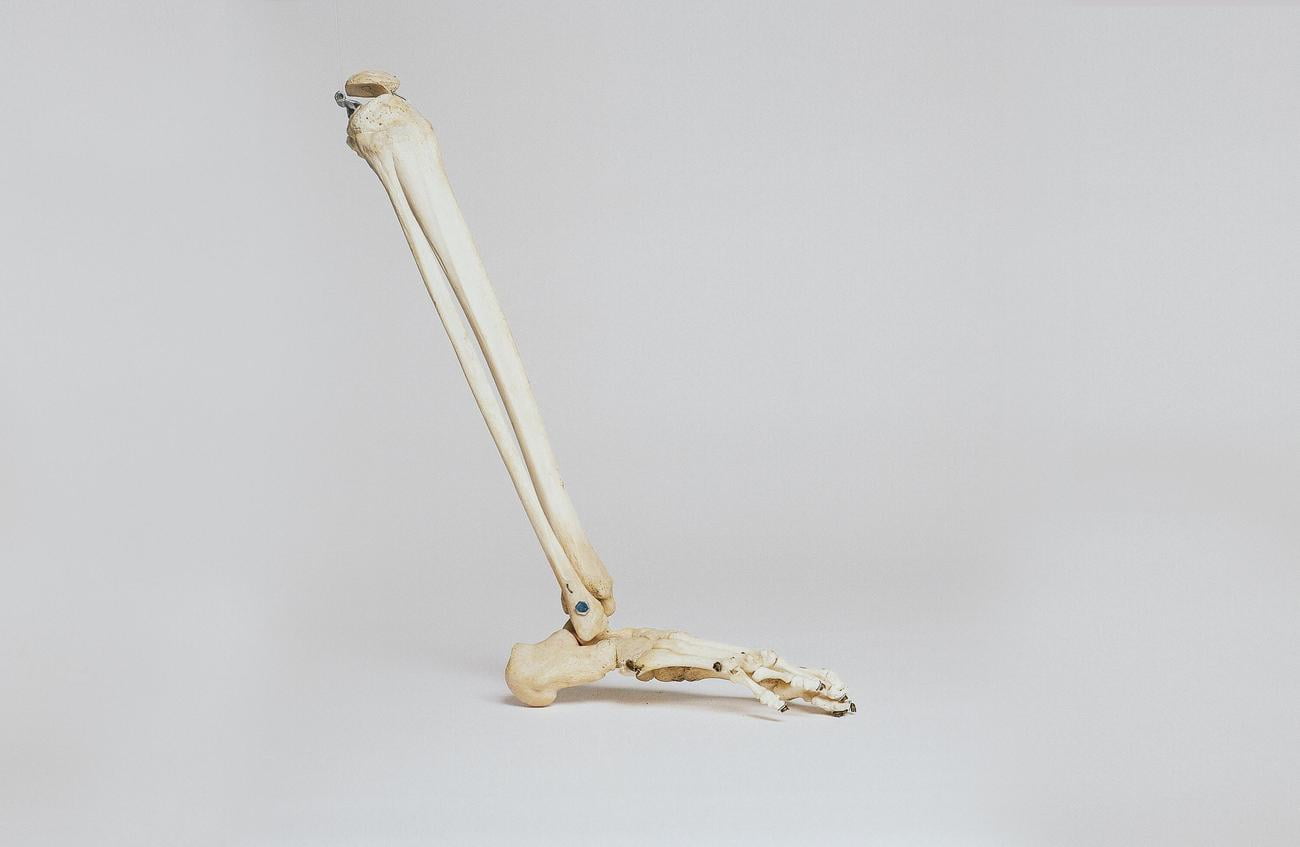 surprising facts about feet bones