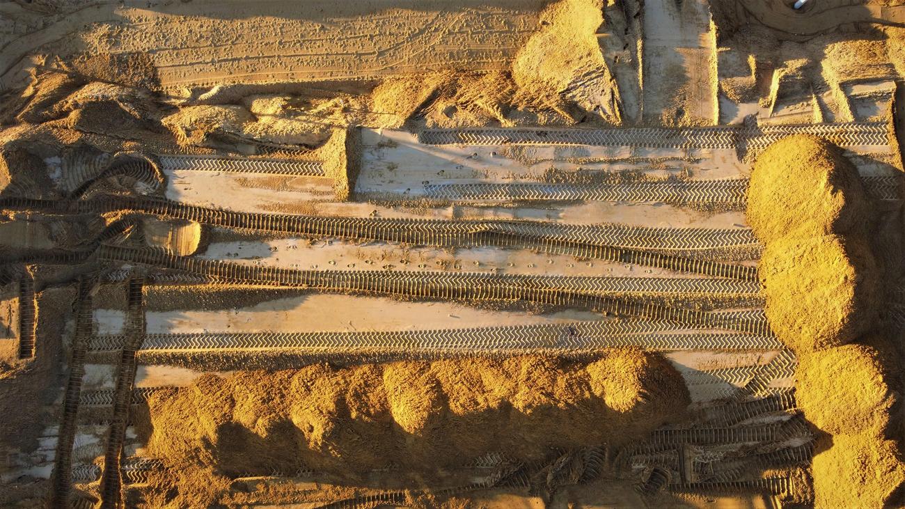 total termites on earth