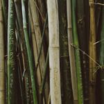 unusual-facts-about-bamboo-textiles_featured