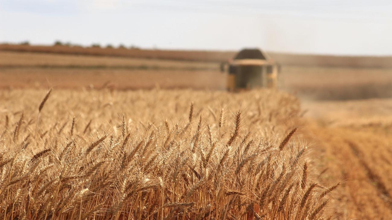 unveiling the secrets of grain elevators
