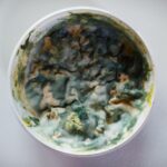 what-does-mold-smell-like_featured