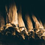 what-is-greenware-in-ceramics_featured