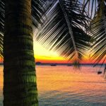what-language-is-spoken-in-tanzania_featured