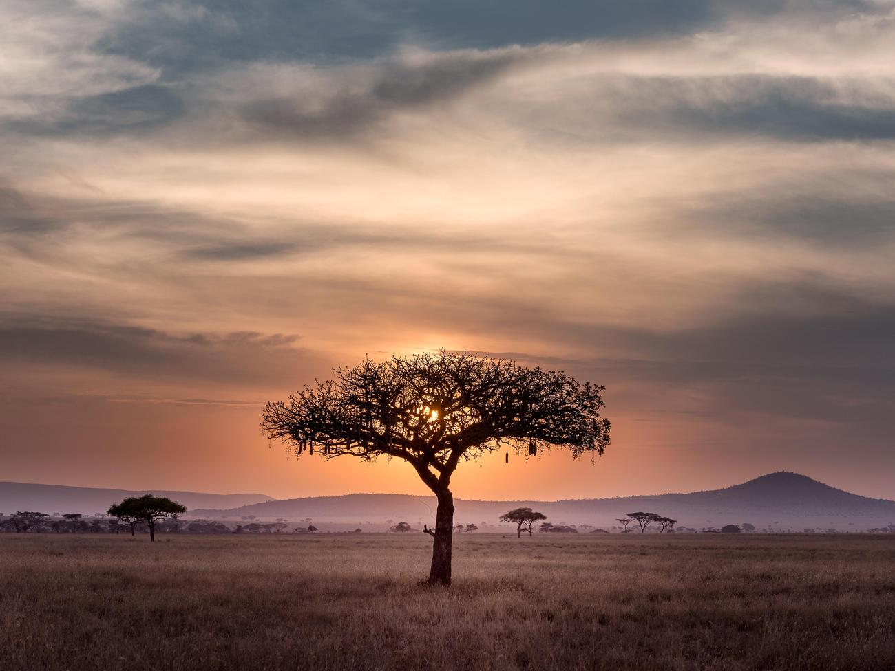 when is the great migration tanzania